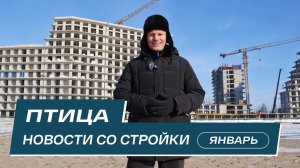 Комплекс Птица: новости со стройки | Январь 2026