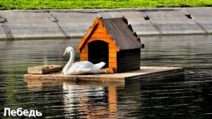 Соленья и Квашения готовят в Полнолуние