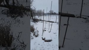 29. 01.26  #зимушка зима❄❄❄