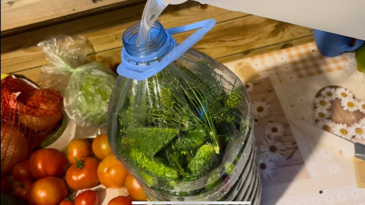 02.09.23 кукуруза созрела, заморозки были, урожай собрала не весь. смотреть онлайн