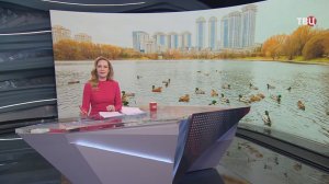 Собянин: В 2026 году в Москве проведут реабилитацию 13 водных объектов