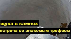 Встреча со знакомым трофеем. Щука в камнях. Лучший воблер осени.