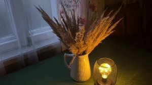 28-30.03.25 Влог: садовые заботы - обрезка ягодных кустов