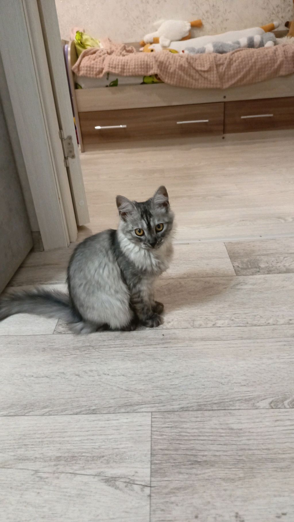 это нейросеть? смотреть онлайн