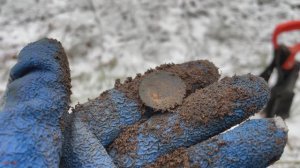 Копаю монеты в зимнем лесу. Коп с Garrett Vortex