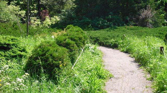 БОТАНИЧЕСКИЙ САД САМАРА