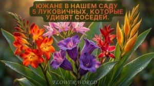 Южане в нашем саду - 5 луковичных, которые удивят соседей.😍