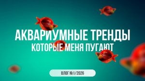 Аквариумные тренды, которые меня пугают