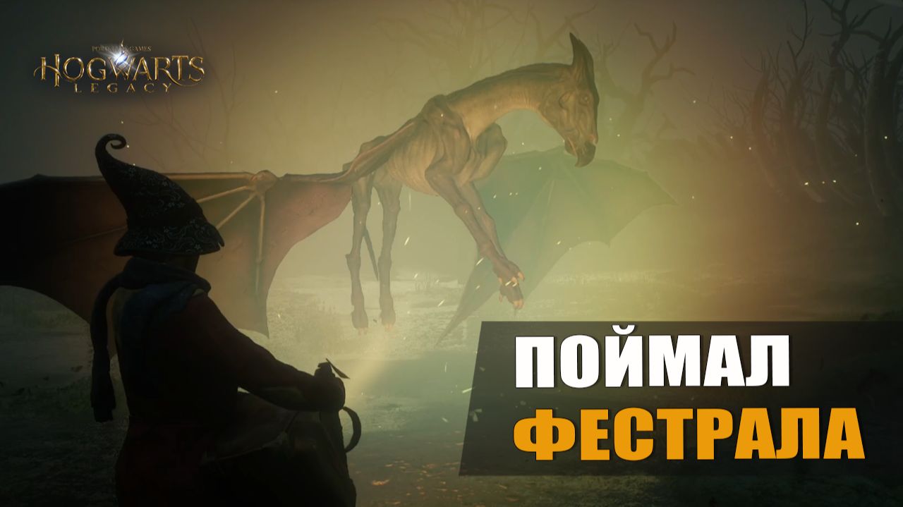 ПОЙМАЛ ФЕСТРАЛА — Hogwarts Legacy [#13]