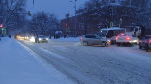 Зима в Московской области. Столько снега я давно не видела! #зимавподмосковье