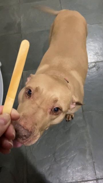 Такой концовки я и сам не ожидал (172) смотреть онлайн