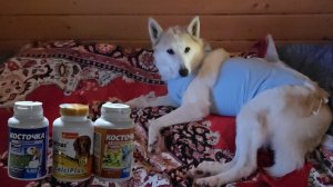 Витамины для лаек