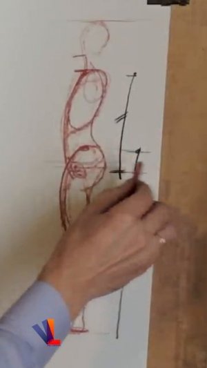 Поза человека, учимся видеть пропорции - Вертикальная