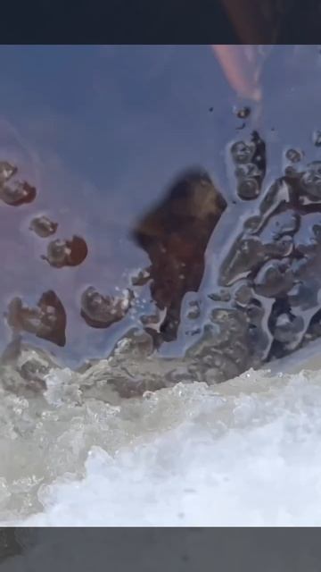 Огромная щука не лезет в лунку. Что делать? смотреть онлайн