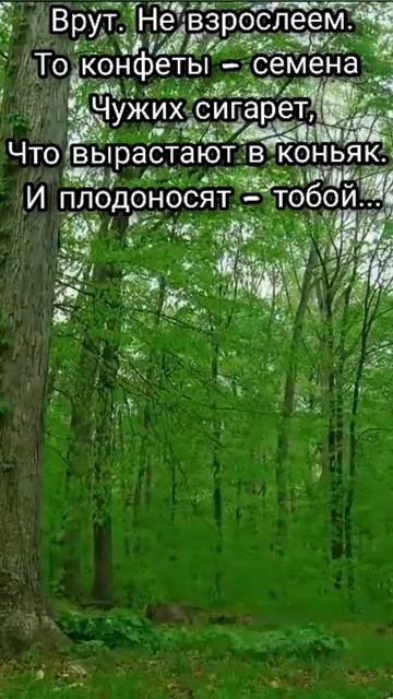Врут.