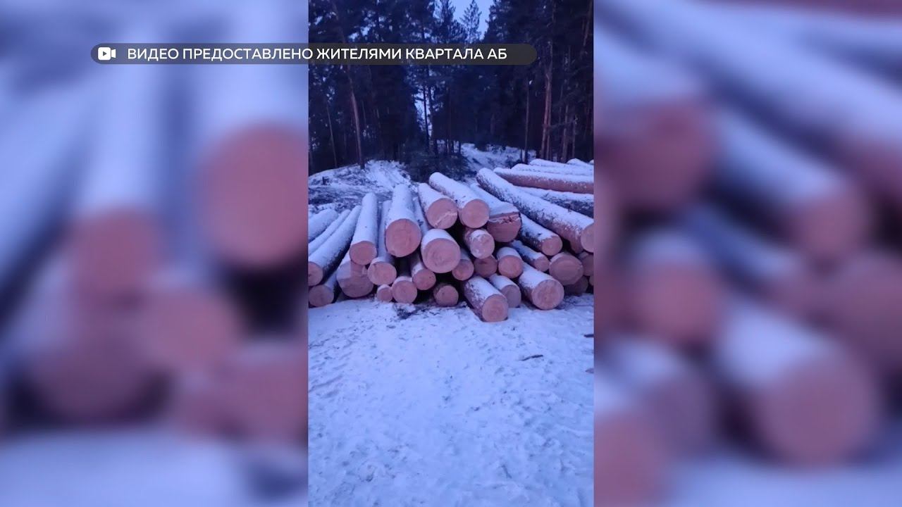 "Будни" (новости, 29.01.26г., Бийское телевидение) смотреть онлайн