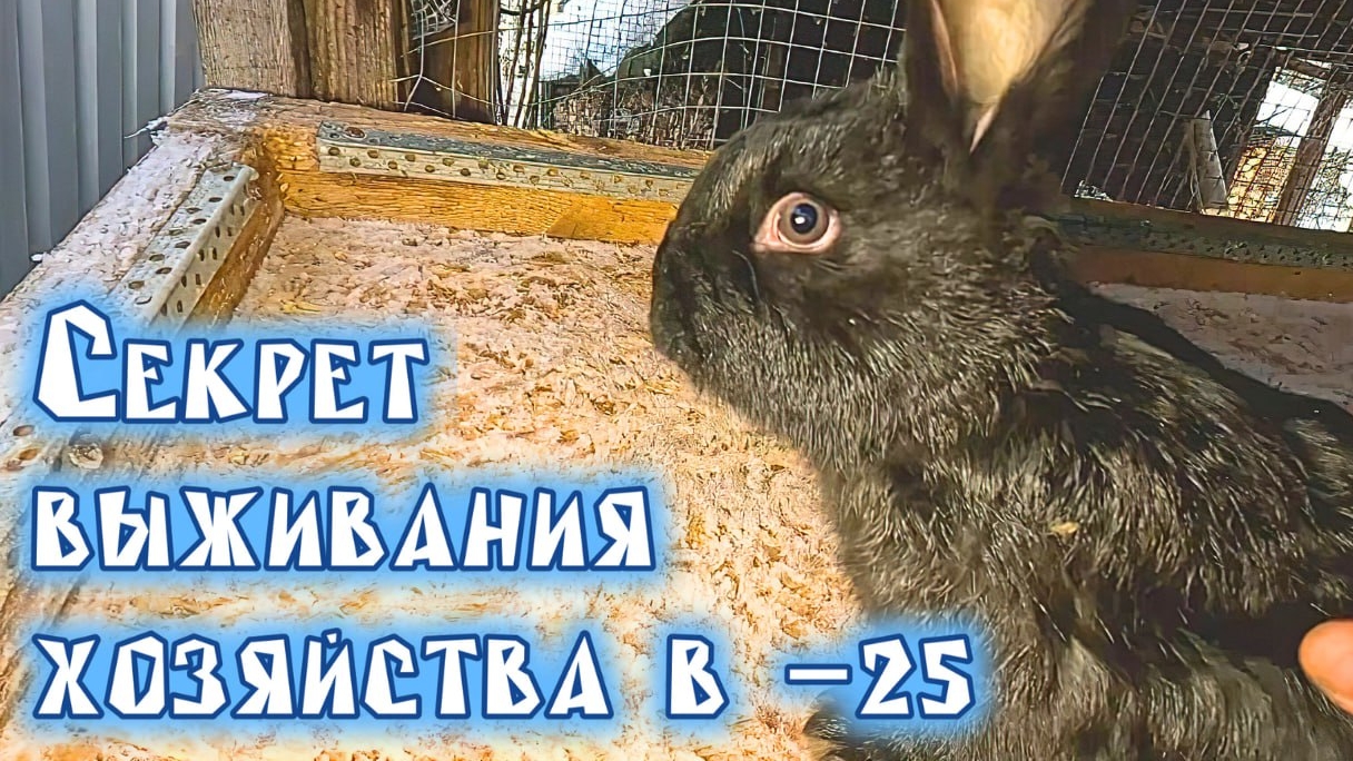 Итоги 2025 года и планы на 2026: что ждёт наш канал! смотреть онлайн