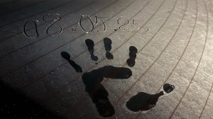 08.05.25 сажаю томаты,  а ночью дубак!