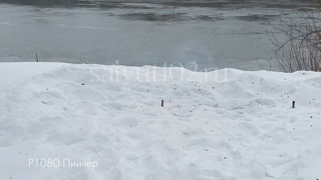 Р 1080 Пинчер