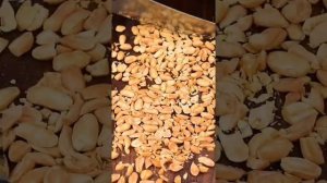 👩"МНЕ ПРИСЫЛАЮТ ФОТО ГНИЛОЙ ДЕВУШКИ"🔪
🦇Страшная история: ✝️"WorldBegemotKot"✝️🦇
Готовка🥞