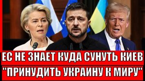 Европа не знает куда затолкать Украину// Появился Шанс заставит Зеленского пойти на мир/ Путин готов