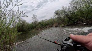 В гостях у щуки. Ловля бейткастингом на воблеры в горном ручье. 10.05.2025.