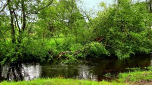 И снова река Турёнка