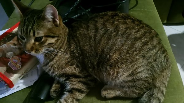 Montagem Lost Media 2 (Super SLOWED)