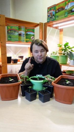 Три ошибки в зимнем огороде.