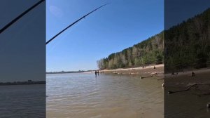 Бердский залив. Хомутина 1.05.2025.