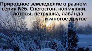 Природное земледелие о разном №6.