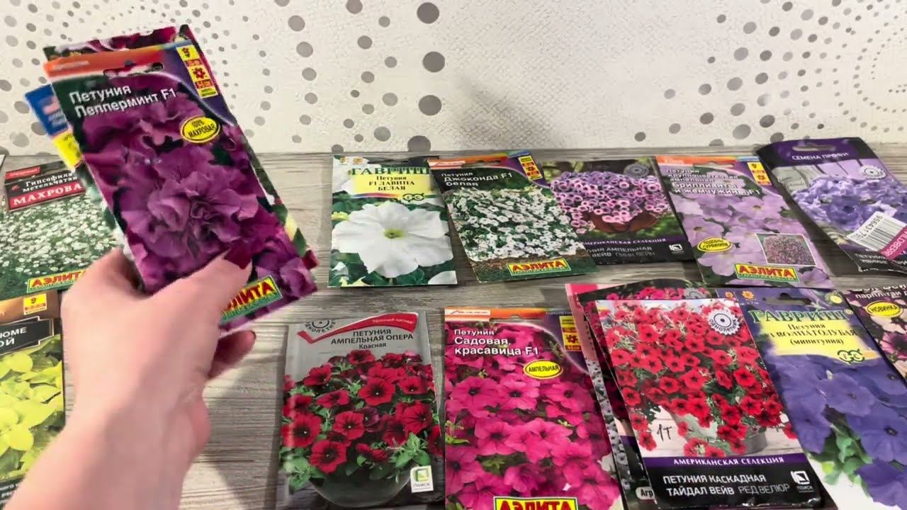 Петунии на 2024 и Компаньоны смотреть онлайн