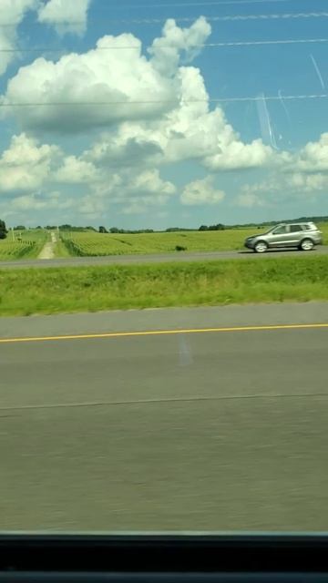 Такой концовки я и сам не ожидал (169) смотреть онлайн