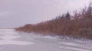 Ледяной покров на водоемах VID_20260128_165830