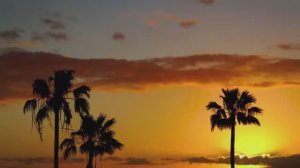 Что происходит, пока мужа нет…