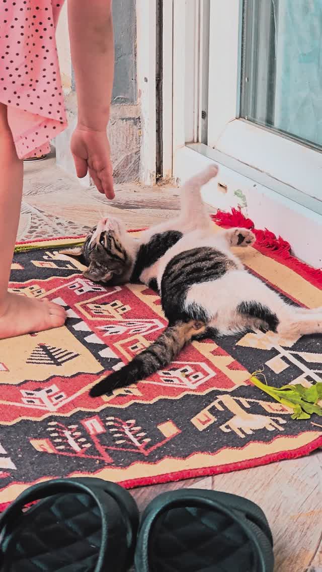 Ангелина и Милки Вэй в Турции