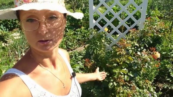 Видео привет с 6 соток. 2 часть. 12 июля 2021 год.