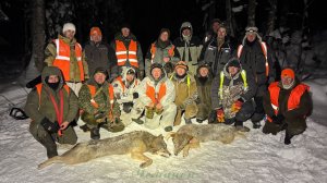 Охота на волка #5 \ Вологодский район