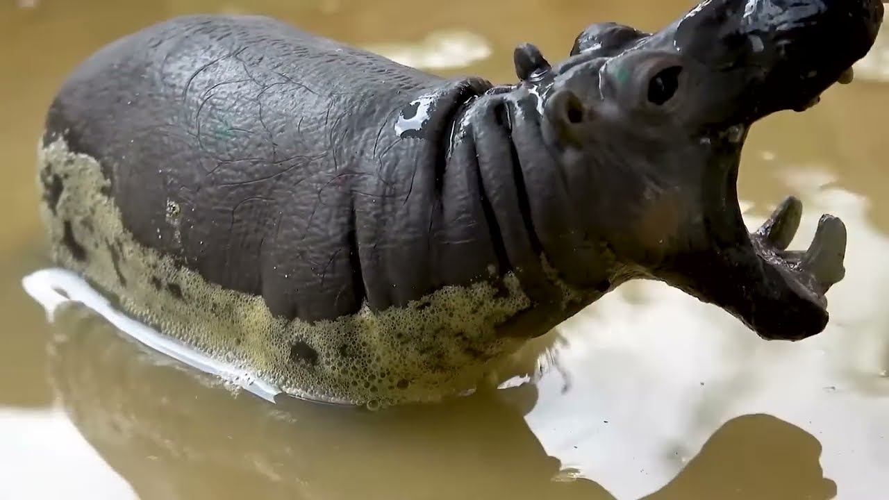 Игрушечная машинка через мост и подводные животные