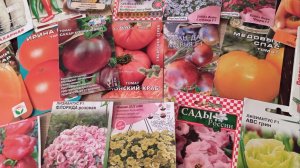 Лунный посевной календарь на февраль 2026 г. 🌱