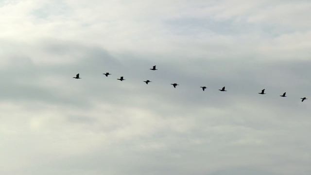 Ялта в январе