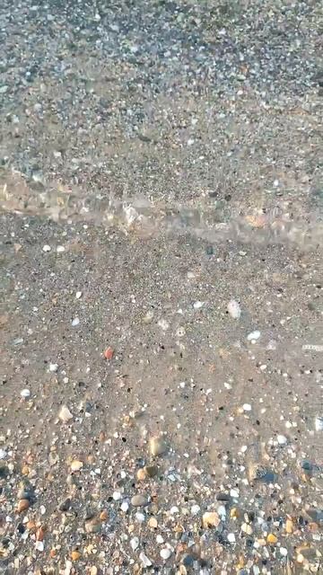 Хочу на море! 2026 Naomix.ru