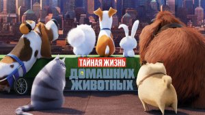 Тайная жизнь домашних животных (The Secret Life of Pets). Мультфильм, комедия, приключения. Обзор