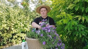 ПРОВОДИМ СТРИЖКУ И ГОТОВИМ К ЗИМЕ ТЕМА №5 БИЗНЕС НА ПЕТУНИЯХ ПРОСТО | БОРИС БОРИСОВ