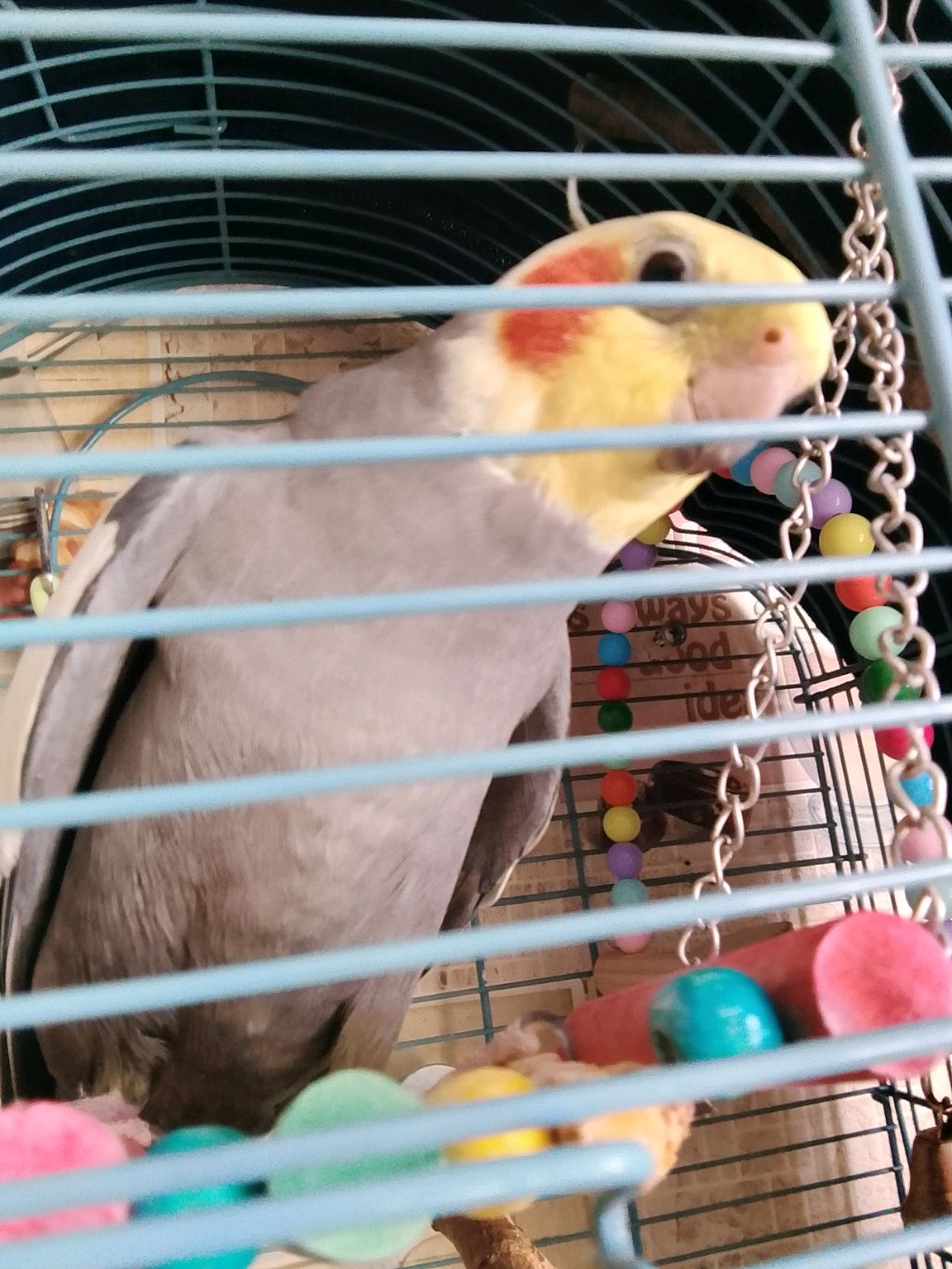 рисовашки) смотреть онлайн