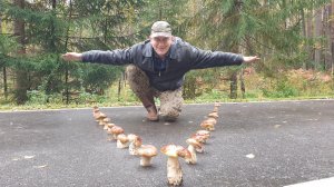 БЕЛЫЕ ГРИБЫ КОСЯКАМИ ПОДАЛИСЬ НА ЮГА !