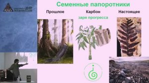 Станислав Дробышевский - Как растения создали человека (18 января 2026)