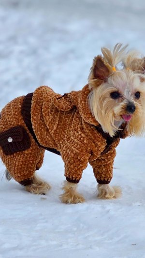 Костюм трансформер "МОБИ-МИШКА"