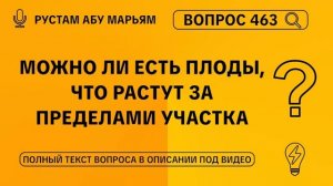 Можно ли есть плоды, что растут за пределами участка? || Рустем Абу Марьям