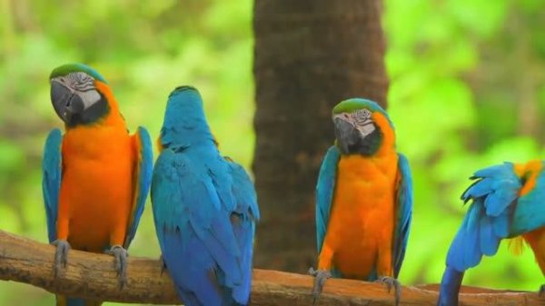 МУЗЫКА, КОТОРАЯ УСПОКАИВАЕТ ДУШУ И СНИМАЕТ НАПРЯЖЕНИЕ